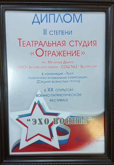 ХХ военно-патриотический фестиваль «Эхо войны».